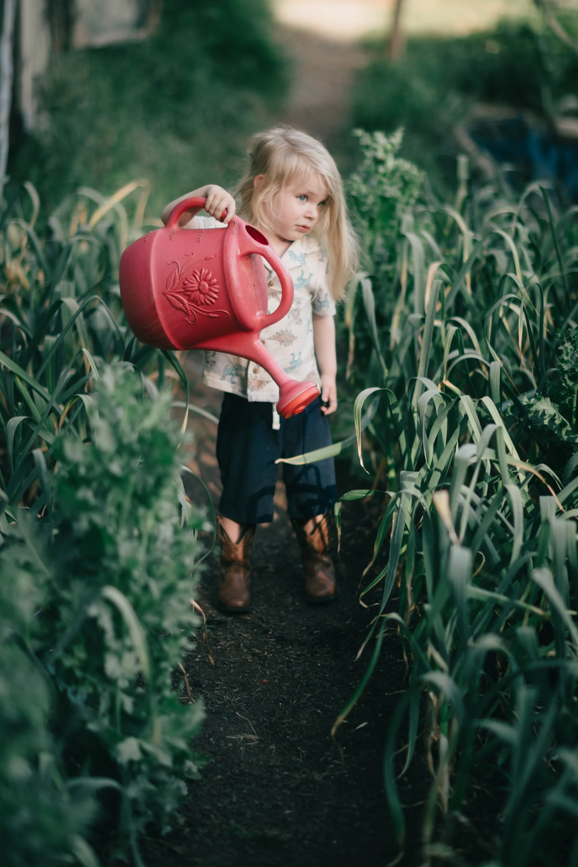 Backwoods Farm, Salt Spring Island Sydney Woodward Photography -95.jpg