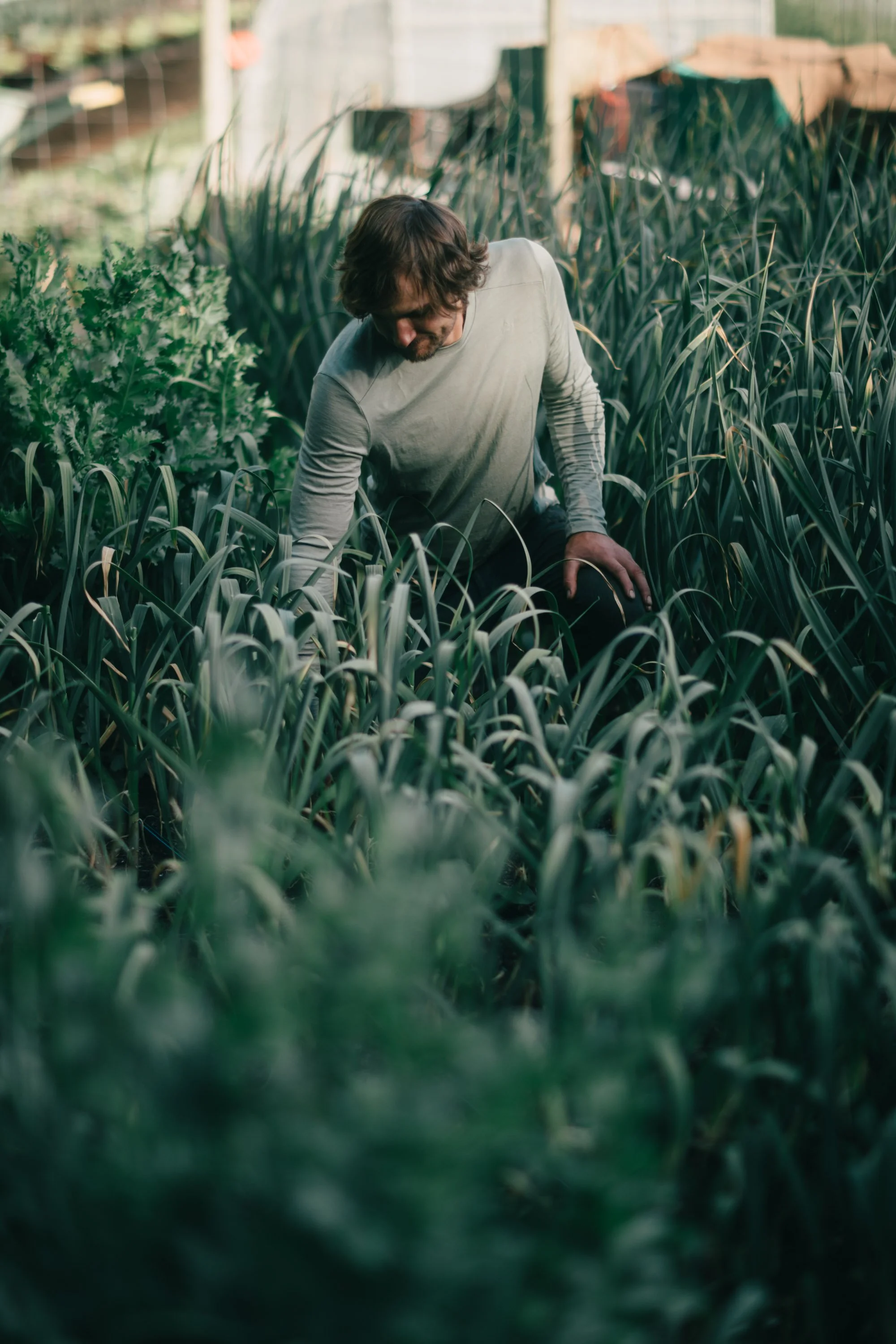 Backwoods Farm, Salt Spring Island Sydney Woodward Photography -96.jpg