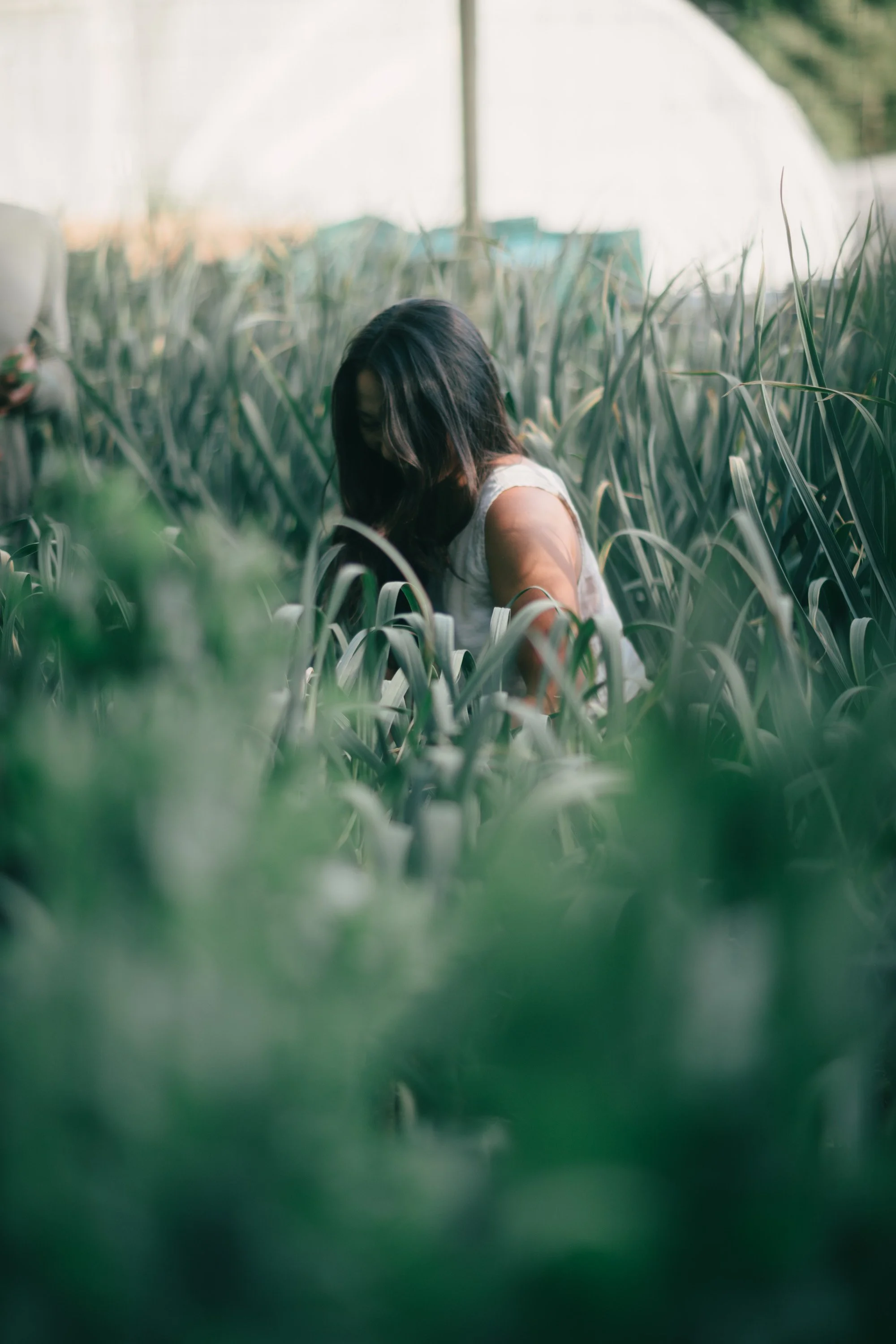 Backwoods Farm, Salt Spring Island Sydney Woodward Photography -99.jpg
