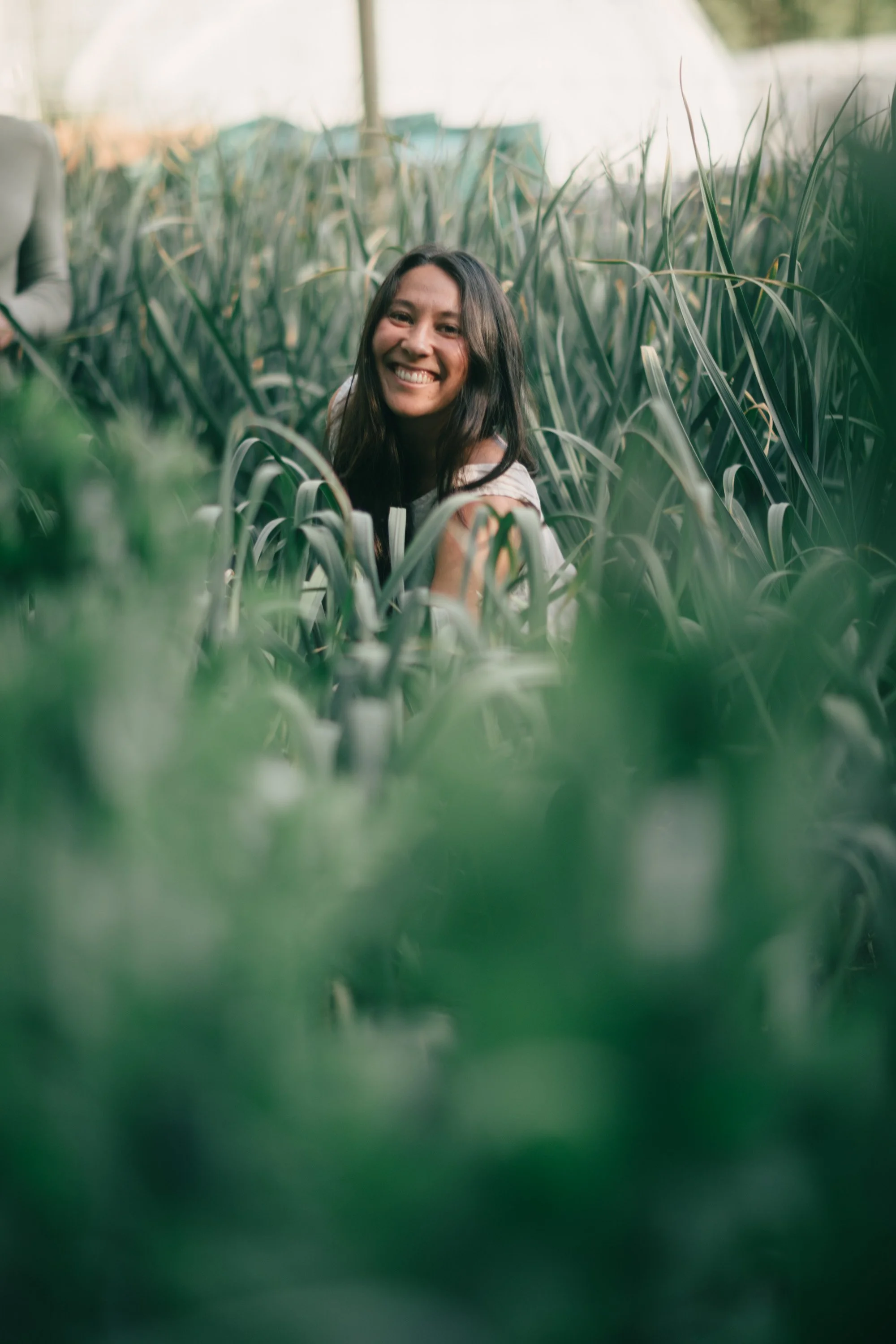 Backwoods Farm, Salt Spring Island Sydney Woodward Photography -100.jpg