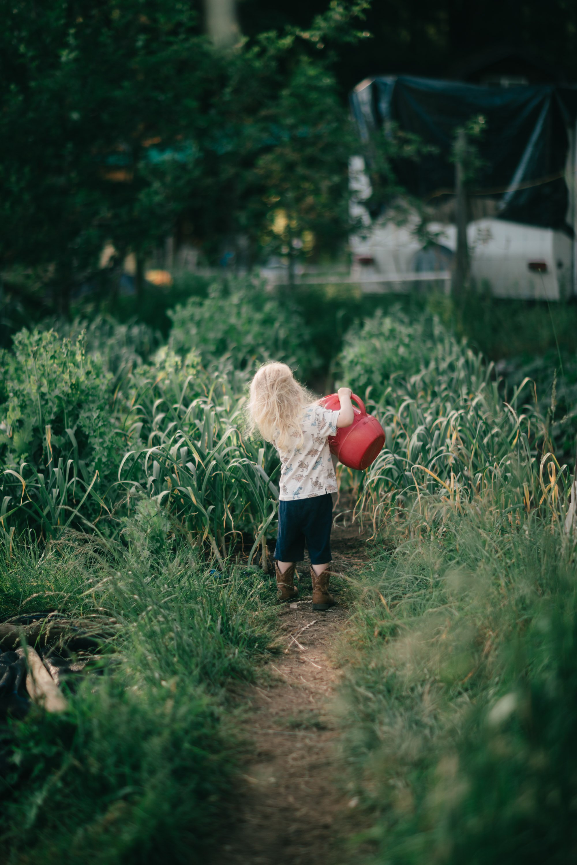 Backwoods Farm, Salt Spring Island Sydney Woodward Photography -110.jpg