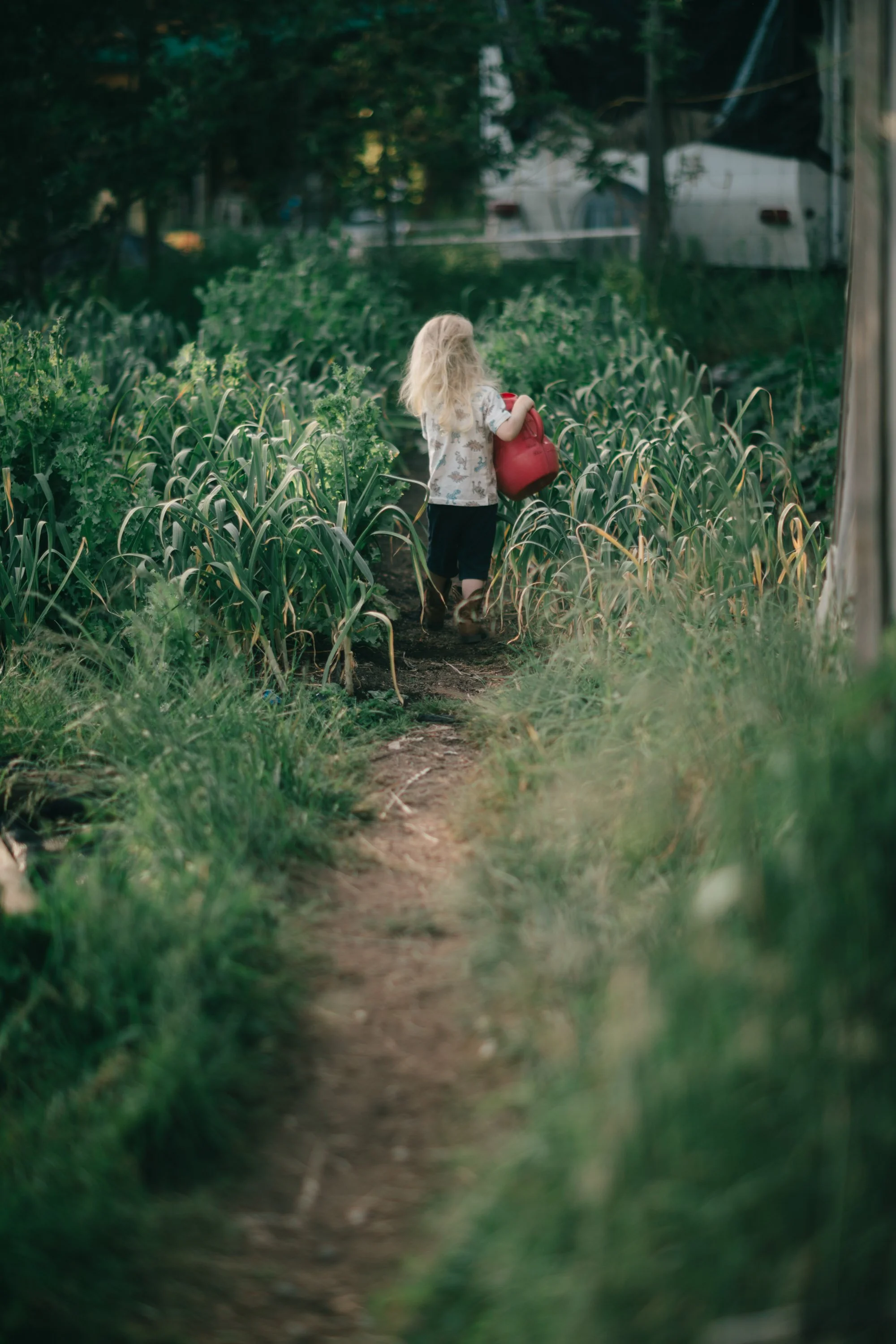 Backwoods Farm, Salt Spring Island Sydney Woodward Photography -111.jpg