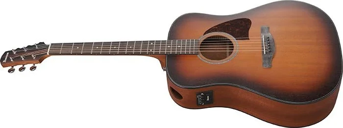 Ibanez Acoustic-electric Guitar -  AAD54E, Open Pore Sunburst
