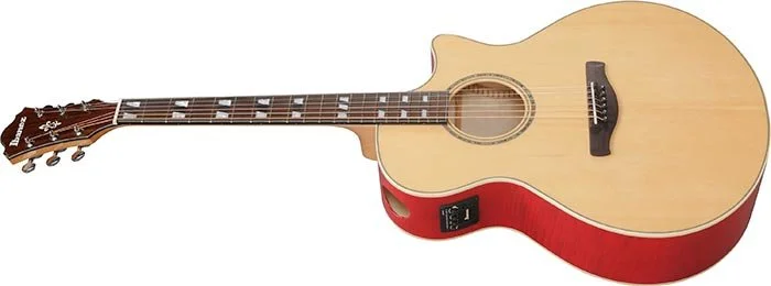 Ibanez AE170 Natural