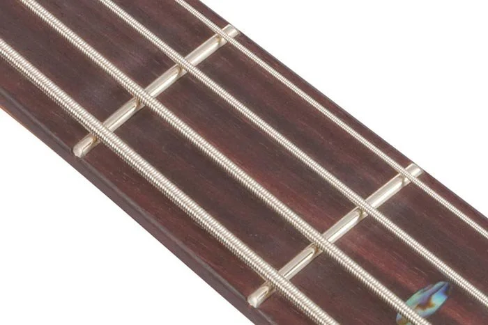 feat_SR500A_fret.jpg