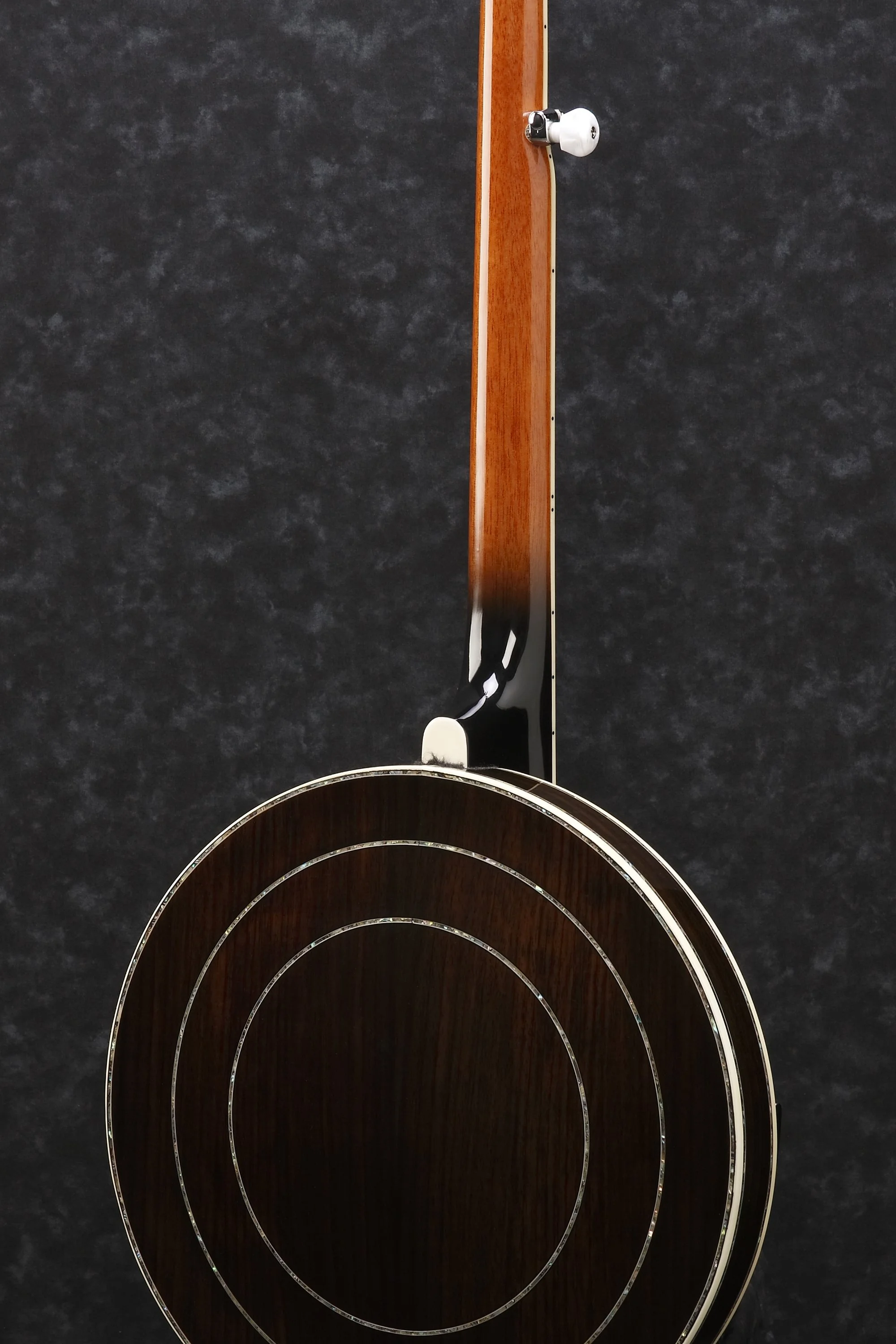 Ibanez B300 5-String Resonator Banjo