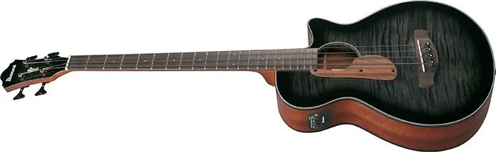 Ibanez AEGB25E Acoustic Bass