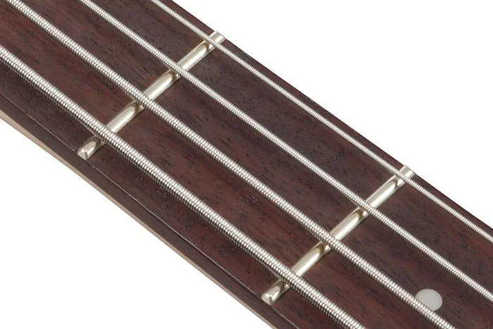 feat_SR300EDX_fret.jpg