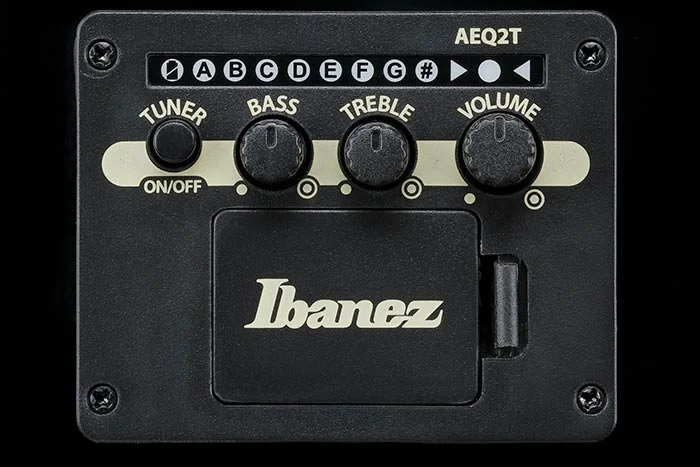 feat_ALT50FA_preamp.jpg
