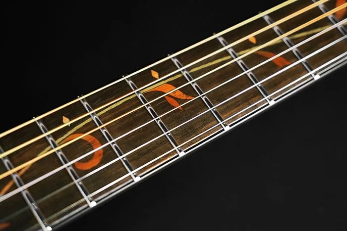 feat_AE_fret.jpg