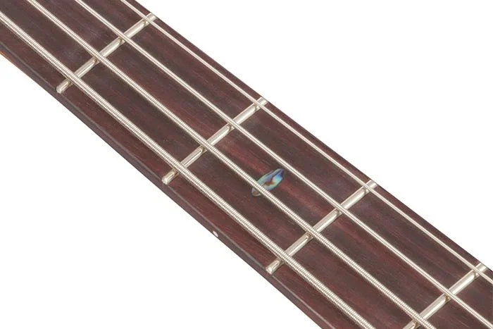 feat_rosewood_fretboard.jpg