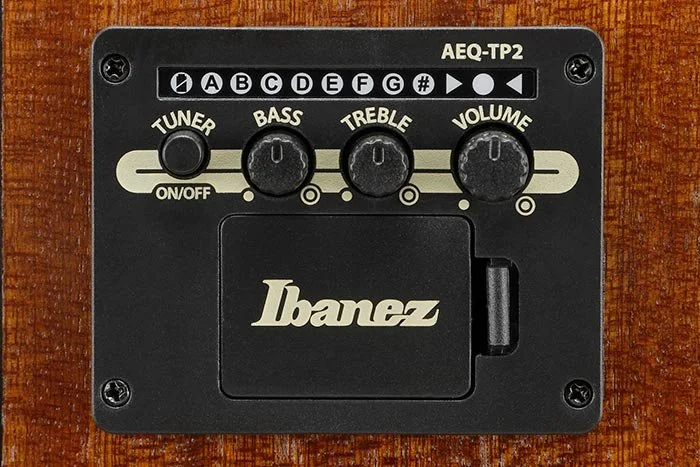 feat_AEQ-TP2preamp.jpg