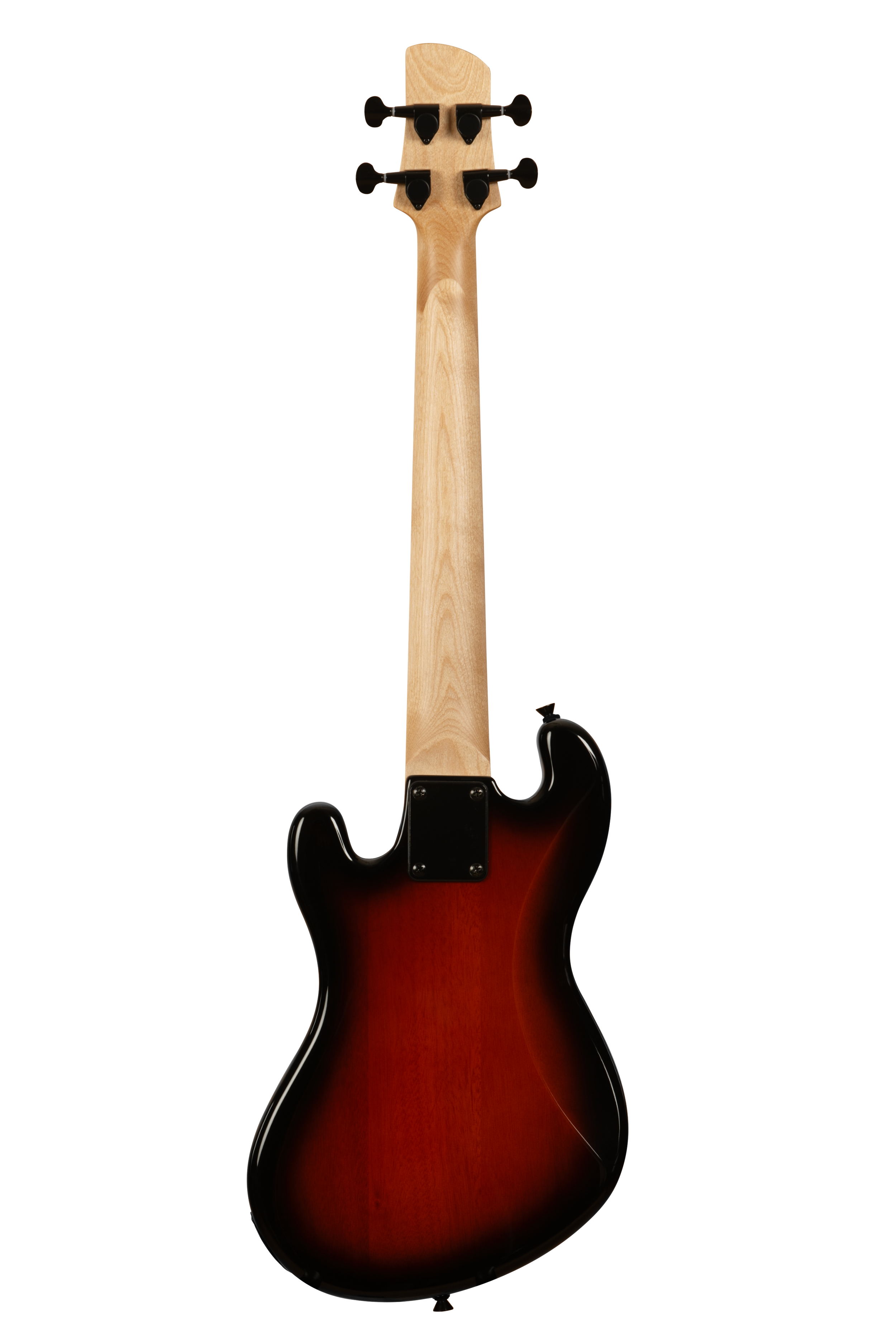 UBASS-SB-TB-FS_23_B.png