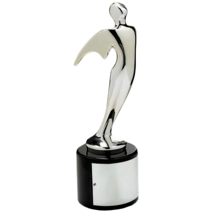 Silver Telly Award