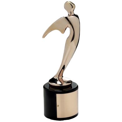 Bronze Telly Award