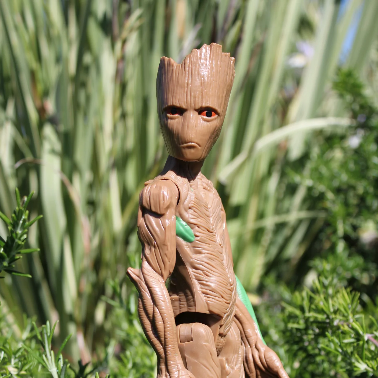 Announcing The Forest School's "Overarching Question" for the 2019-2020 school year!