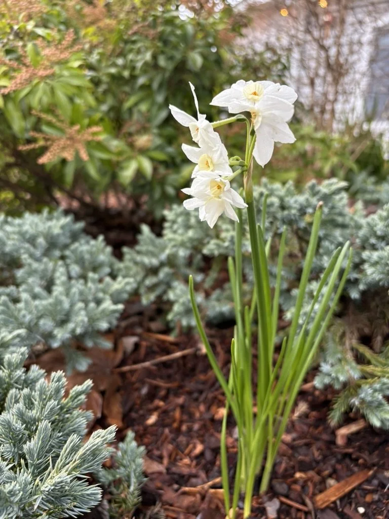 Jesus talks about being worried