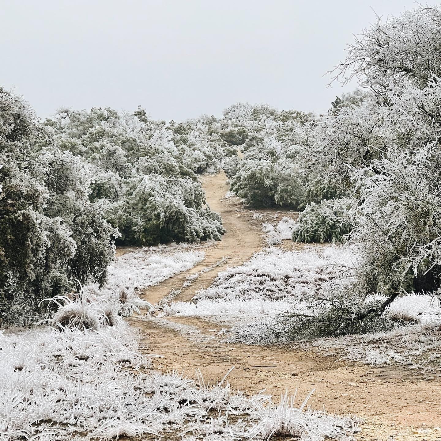 Yeager Creek is officially reopened after our holiday break &amp; another wild winter storm. Thanks to everyone for being so understanding while we took some time to be with family. We look forward to meeting new guests this year!