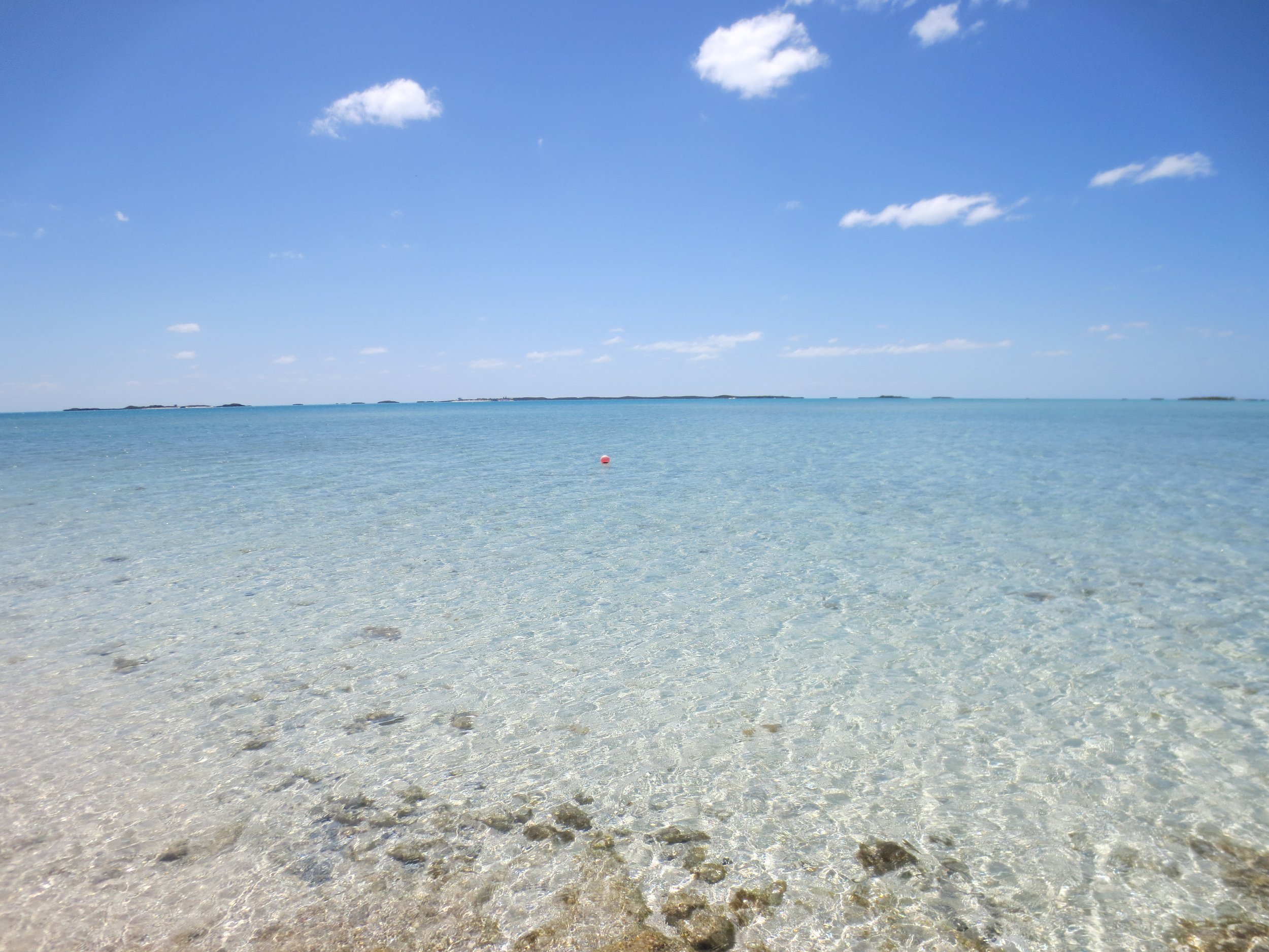 Gibraltar Staniel Cay Bahamas Testimonials — Gibraltar on Staniel Cay