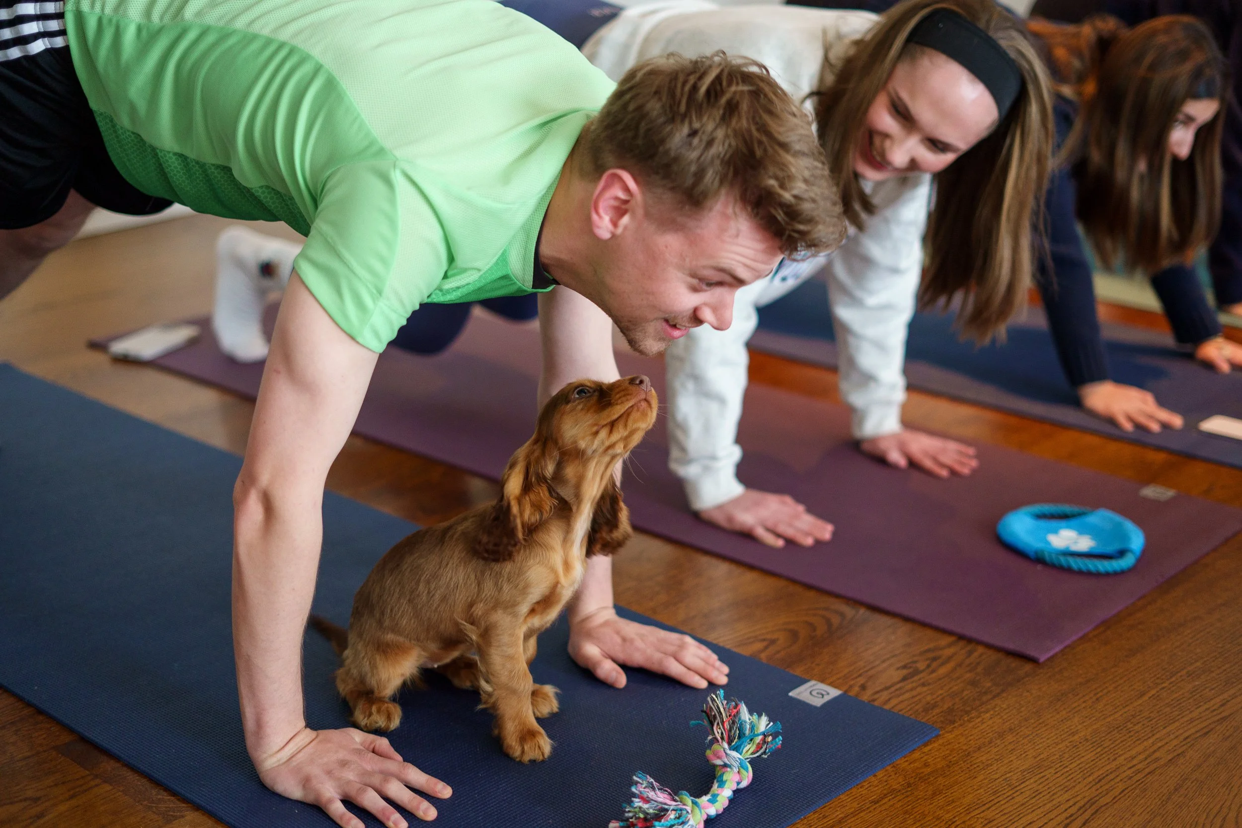 Puppy Yoga Near Me UK Dog Yoga Pets Yoga Puppy Pose Yoga