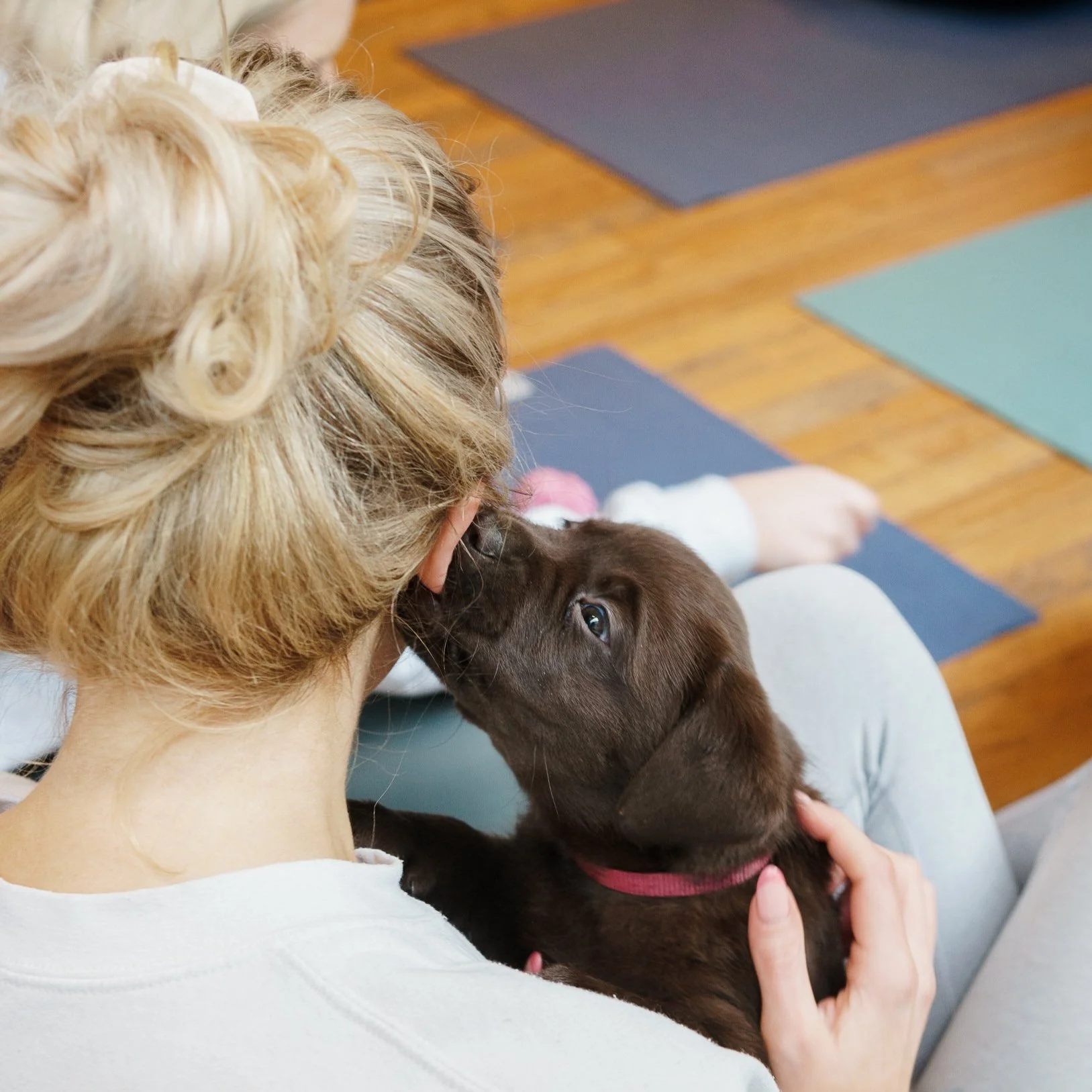 PupsYoga_Feb23_ChocolateStudios_SJ-13.jpg