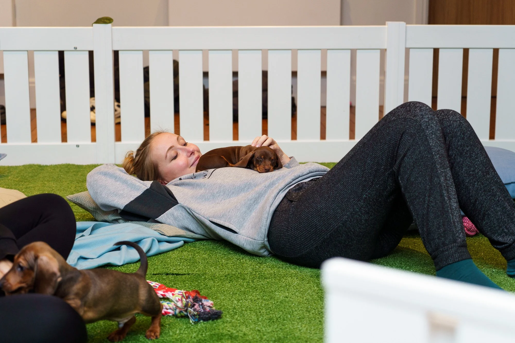 Puppy Play Activities