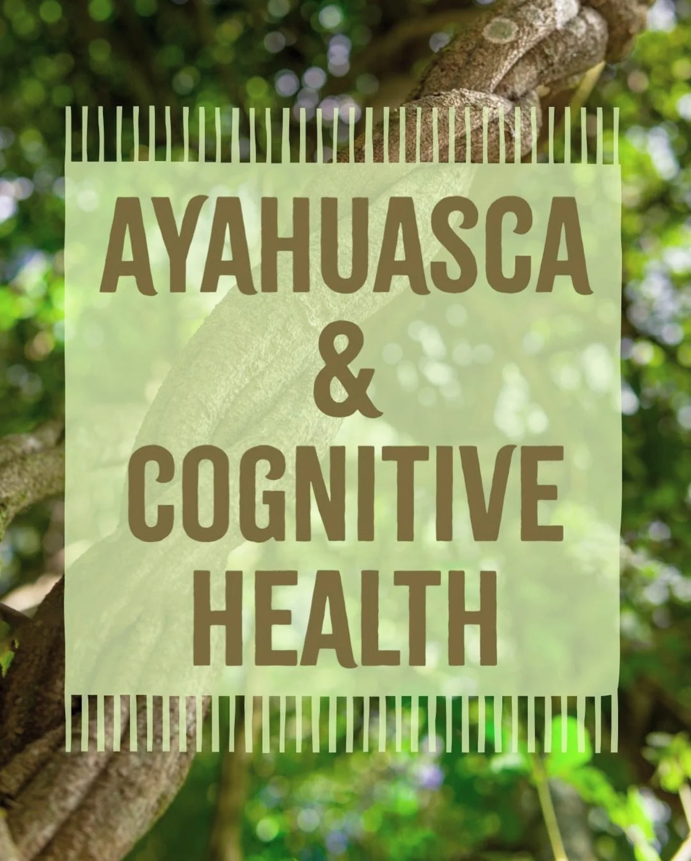 In the last few decades, ayahuasca has made its way from its ancestral home in the Amazon jungle into the hearts and minds of countless people around the world. As a result it has gained greater recognition and support within the scientific and medic