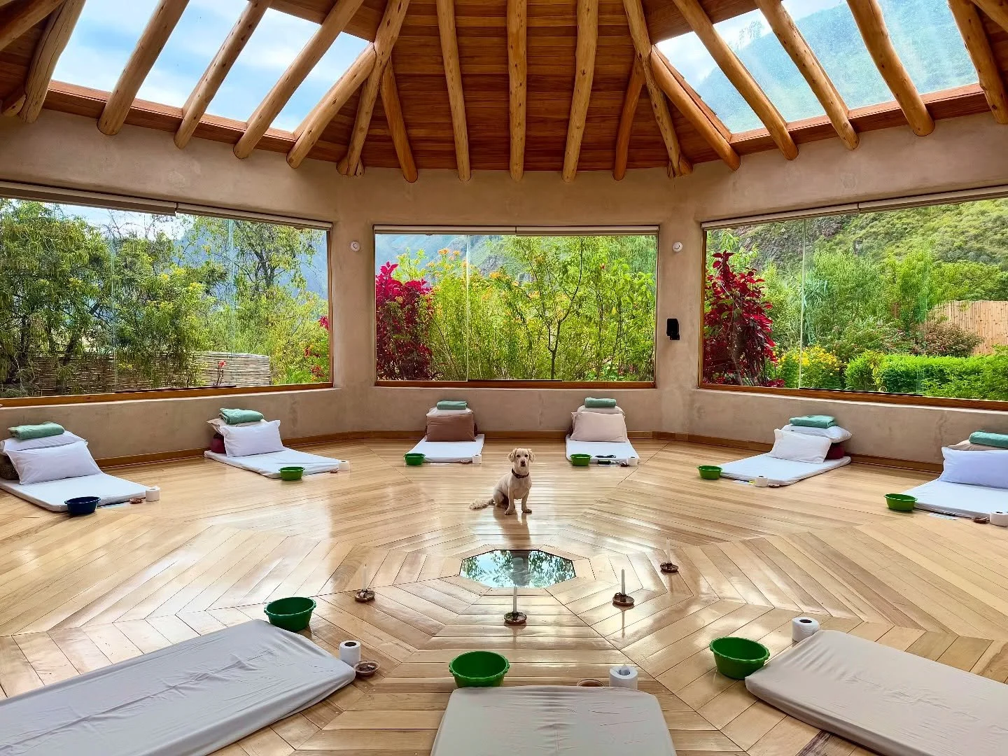 The dreamiest centerpiece of any maloka&hellip; 🐾 

We are officially half way through our retreat here in Sacred Valley, Peru, and we are feeling this space in much deeper ways every time. Our hearts have been blasted open in a short 72 hours with 