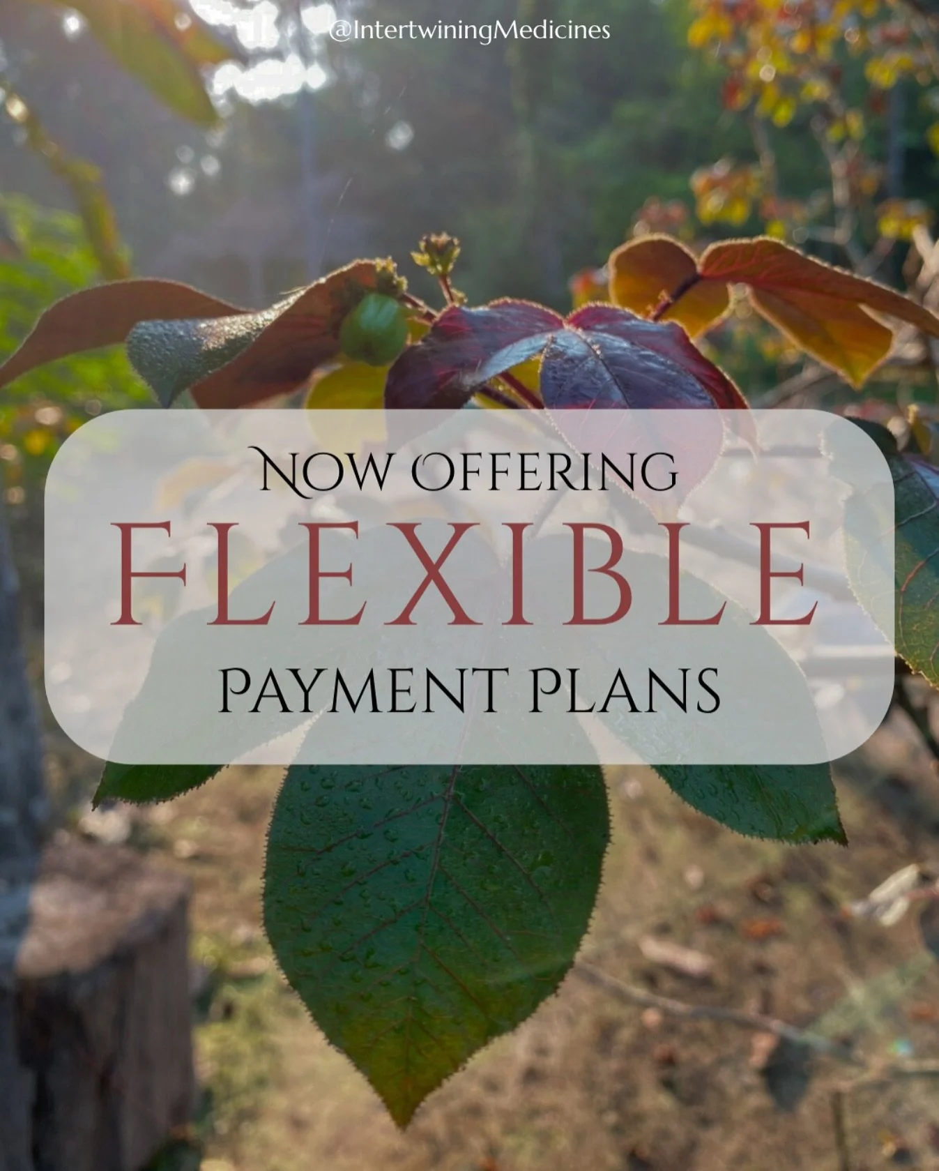 For those seeking flexibility in payment options, we open our doors to you.

We can customize payment plans to suit your specific needs. We believe in making this work as accessible as possible for anyone who is ready and eligible to connect with aya