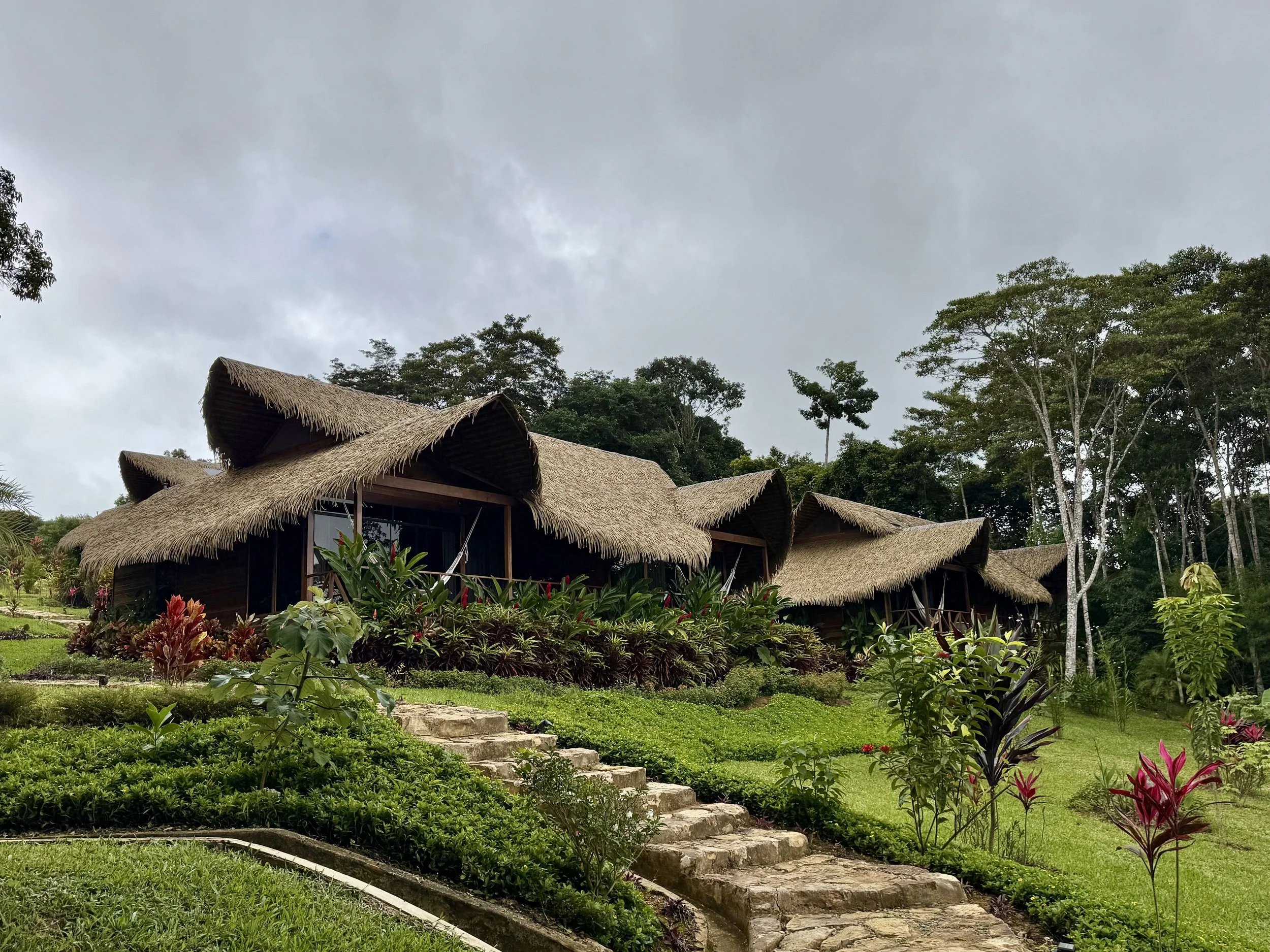 Amazonian Ayahuasca Retreats