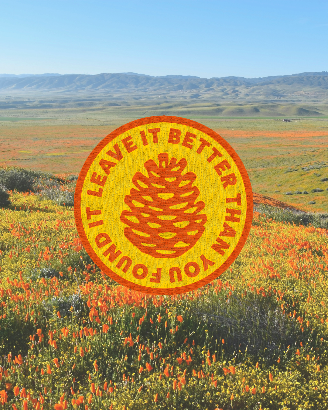 “Leave It Better” Patch