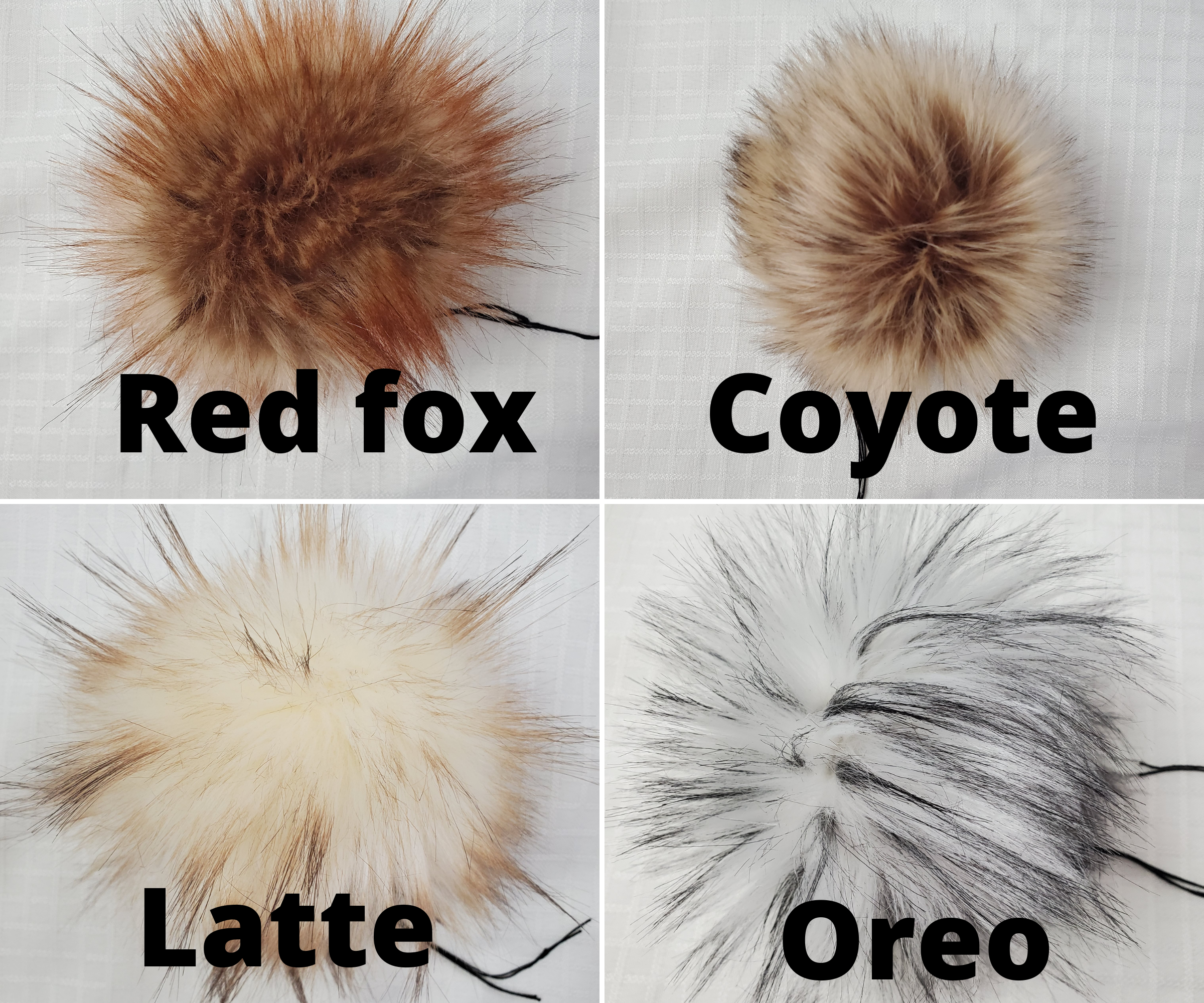red fox (1).png