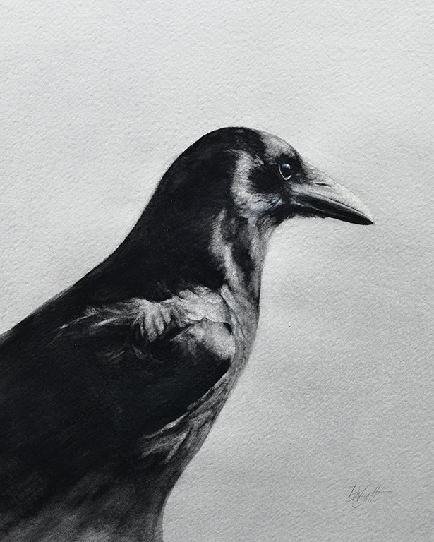 "Raven Study" Print