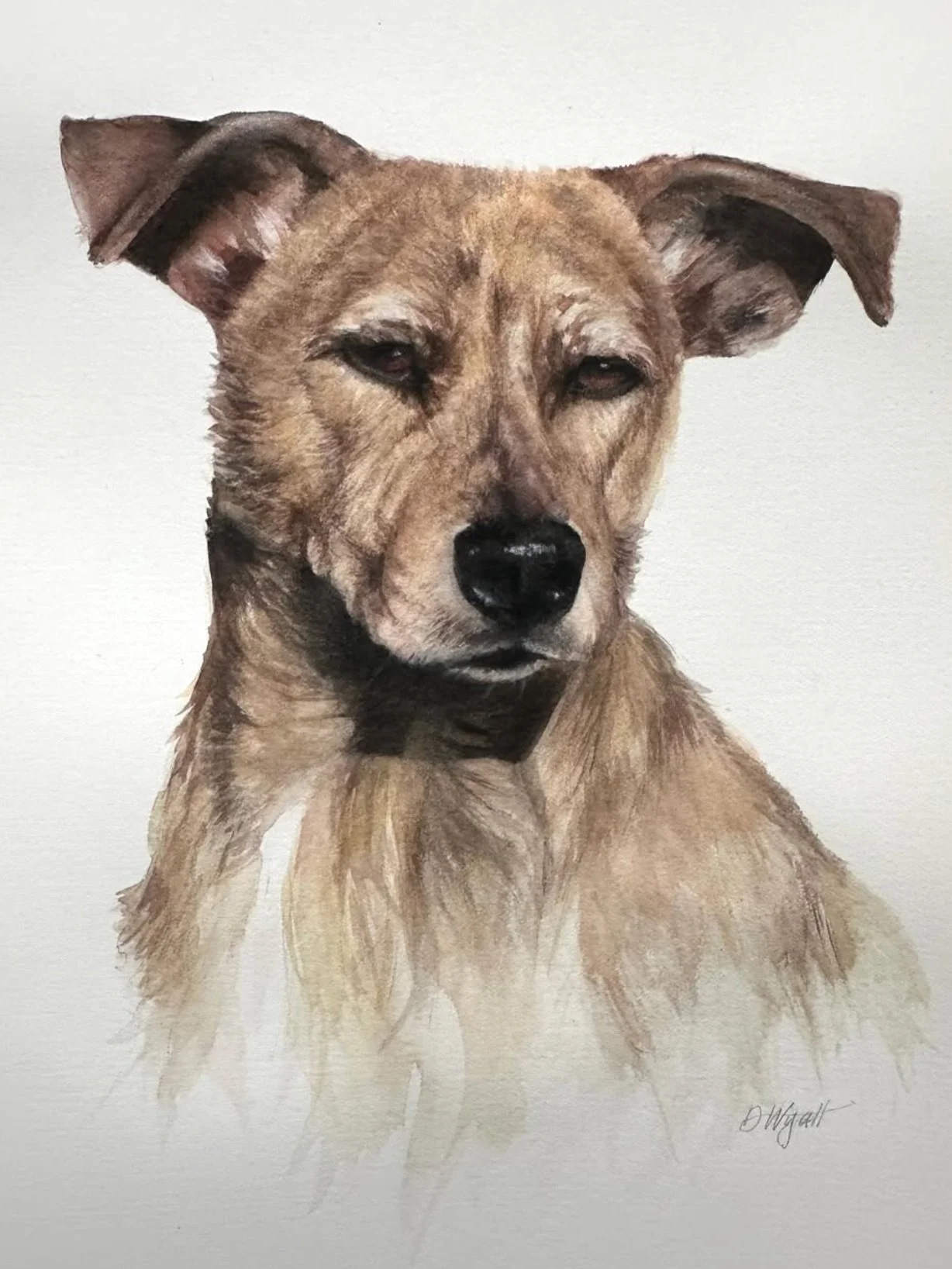 Screen Shot 2025-03-11 at 2.44.36 PM.jpg