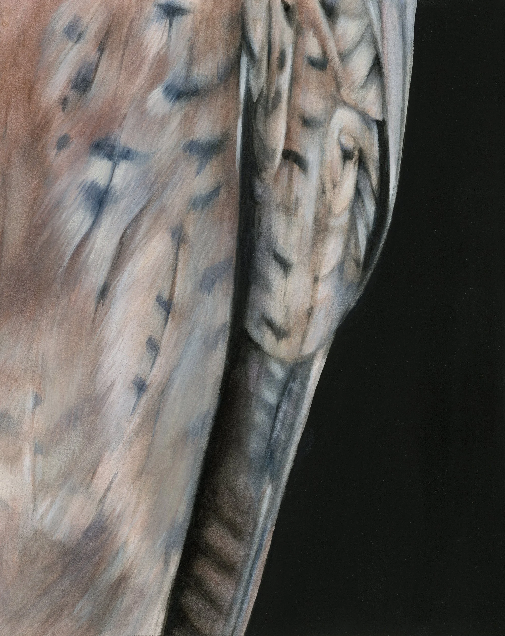 Falcon Wing