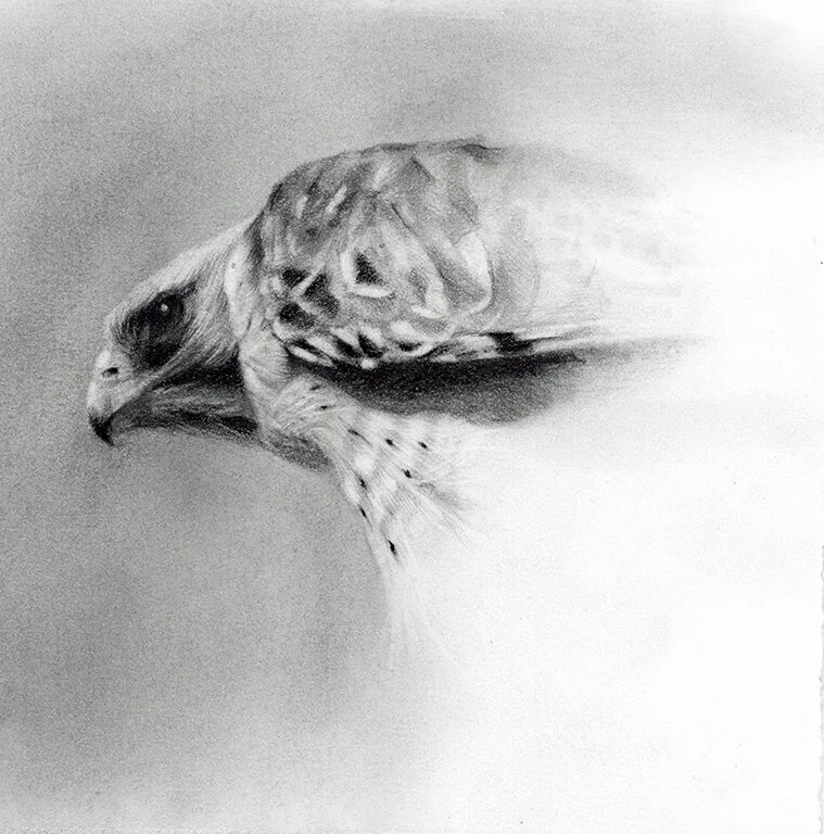 Ricky — DANA WYATT
