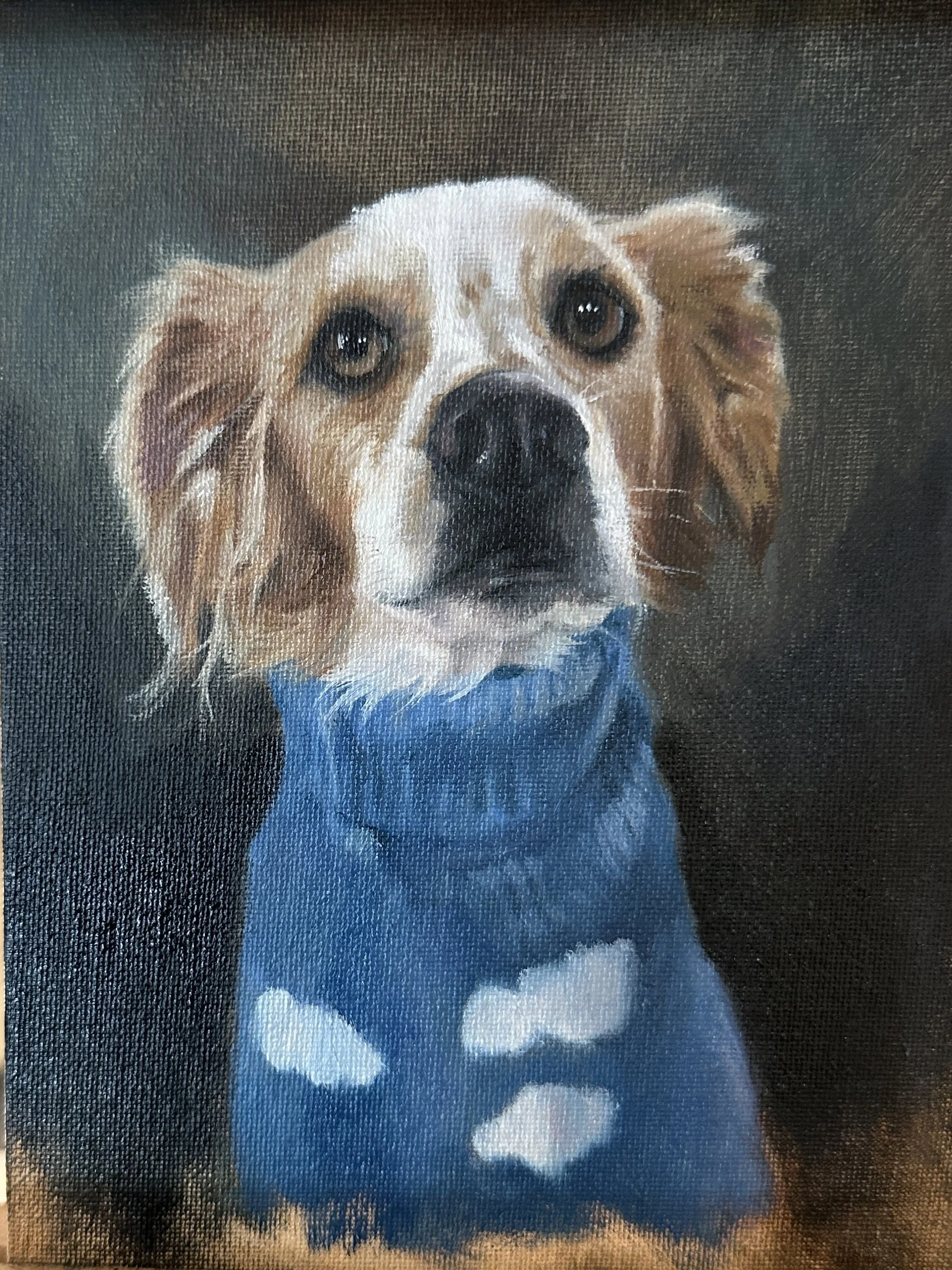 Painting of a dog wearing a blue sweater with white cloud patterns, against a dark background.