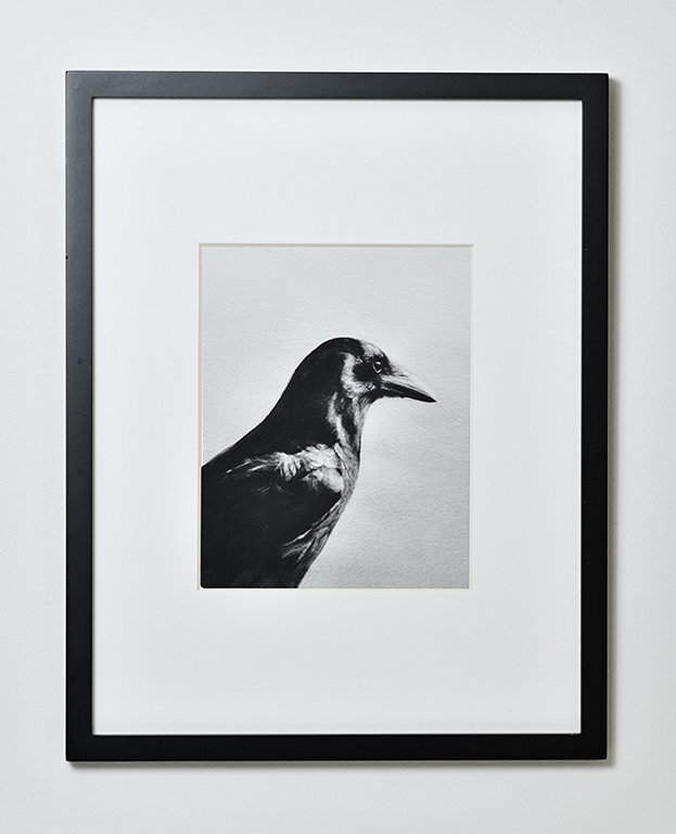 Raven Framed web.jpg