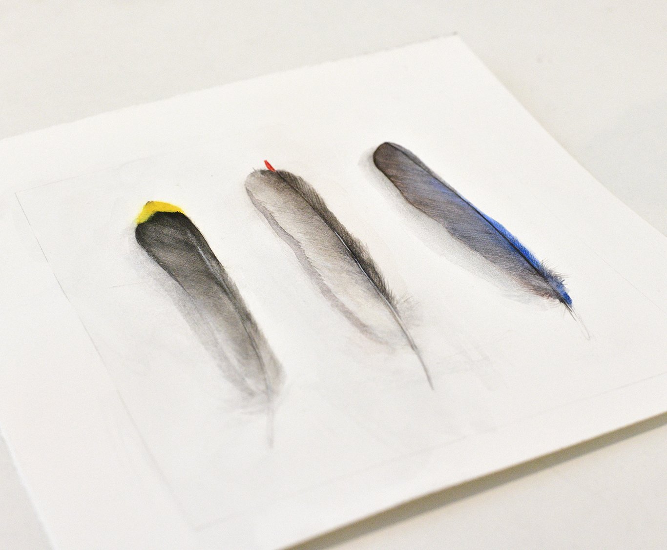feathers detail.jpg