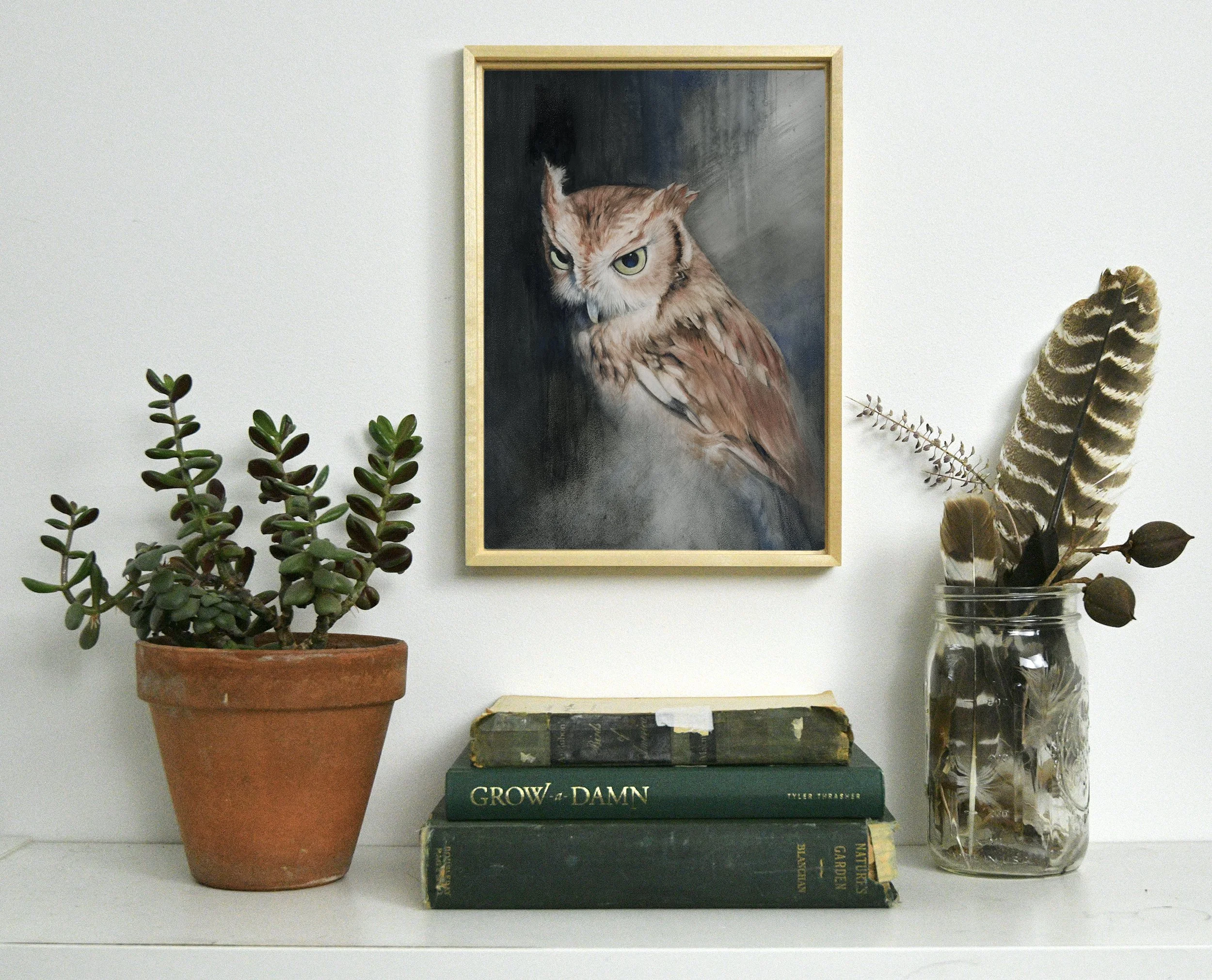 Screech owl photo.jpg