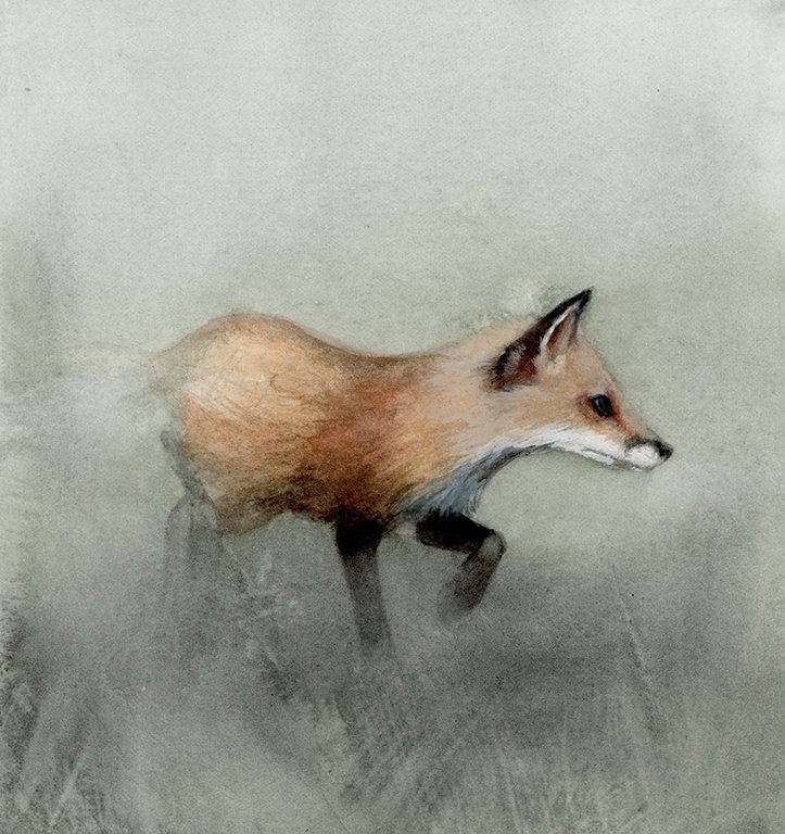 Stalking Fox