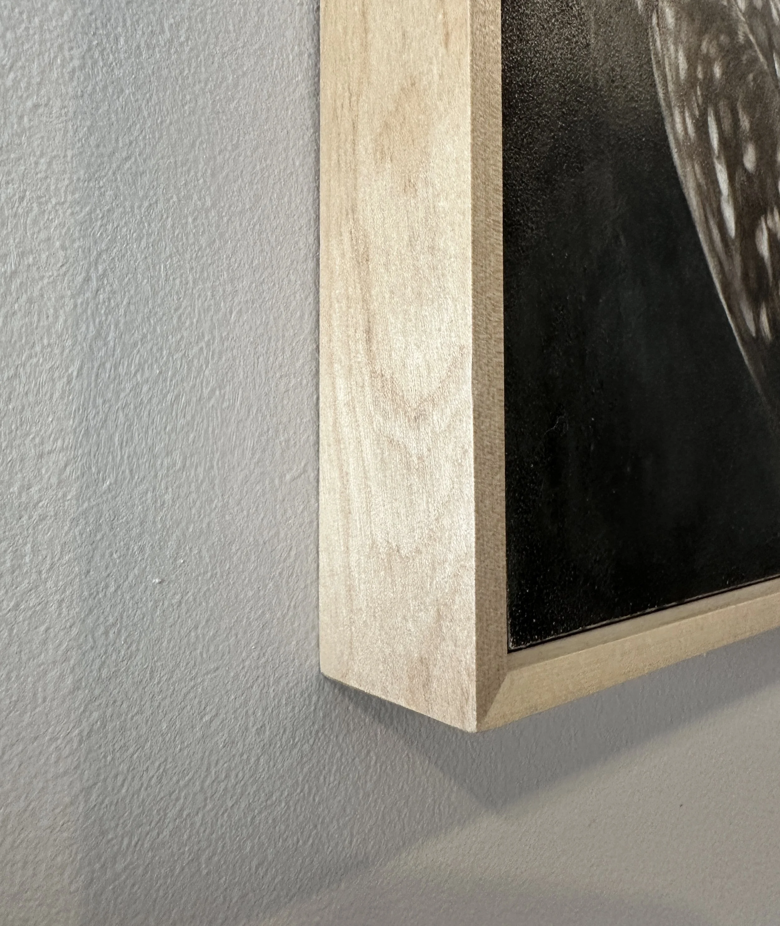 frame side view web.jpg