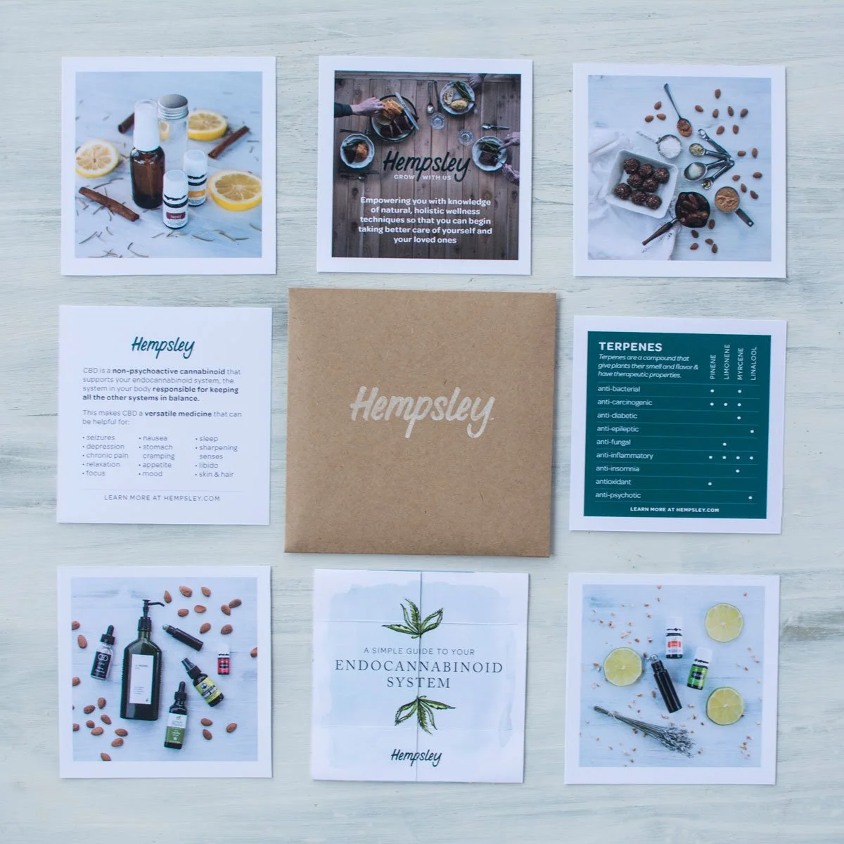envelope-contents-grid-hempsley-1200px.jpg