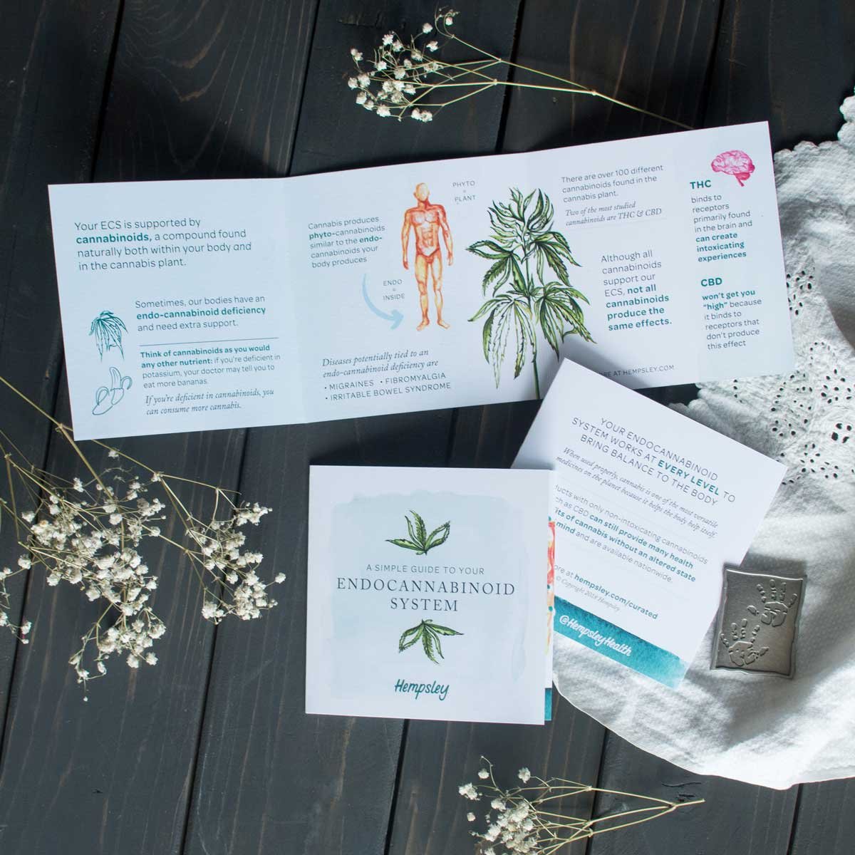 ecs-trifold-7-hempsley-FEB2018-1200px.jpg