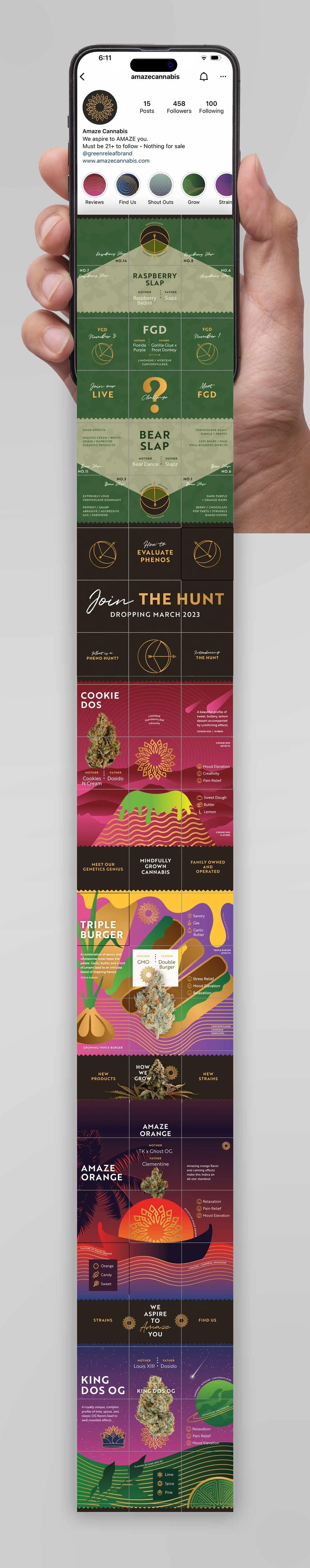 amaze_cannabis_social_media_design-soular_designs.jpg