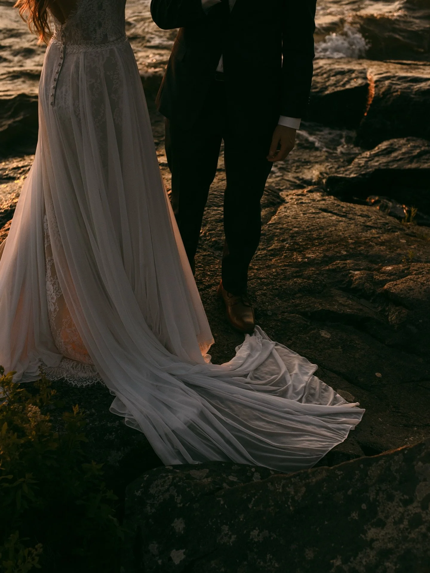 my cats may have made daylight savings a nightmare this morning but golden hour moments are SO back 😍