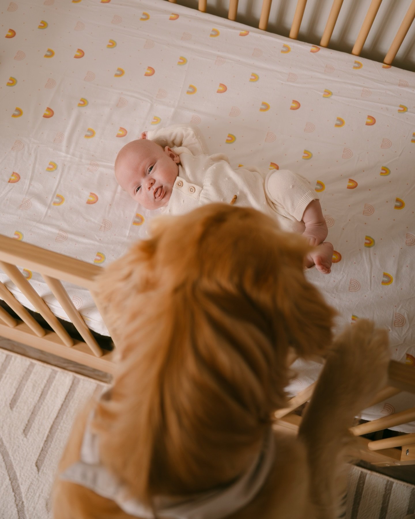 so many spring babies my heart cannot handle it 🥹

ALSO big fan of Poppy girl. She brought many laughs to this session. The best big sister!!!