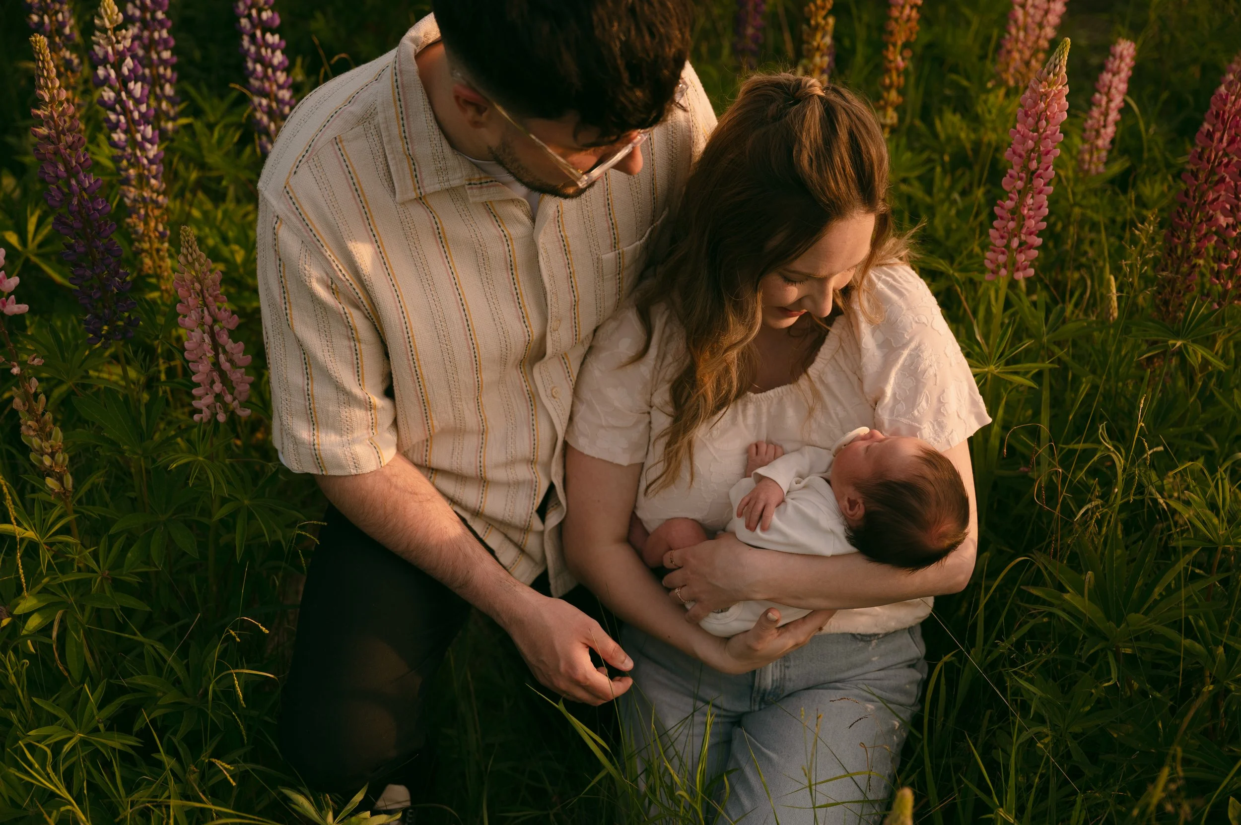 A family of three stands in a lupine field during sunset. The mother, holding a baby, smiles gently at the infant, while the father leans over, looking down at the child with affection.