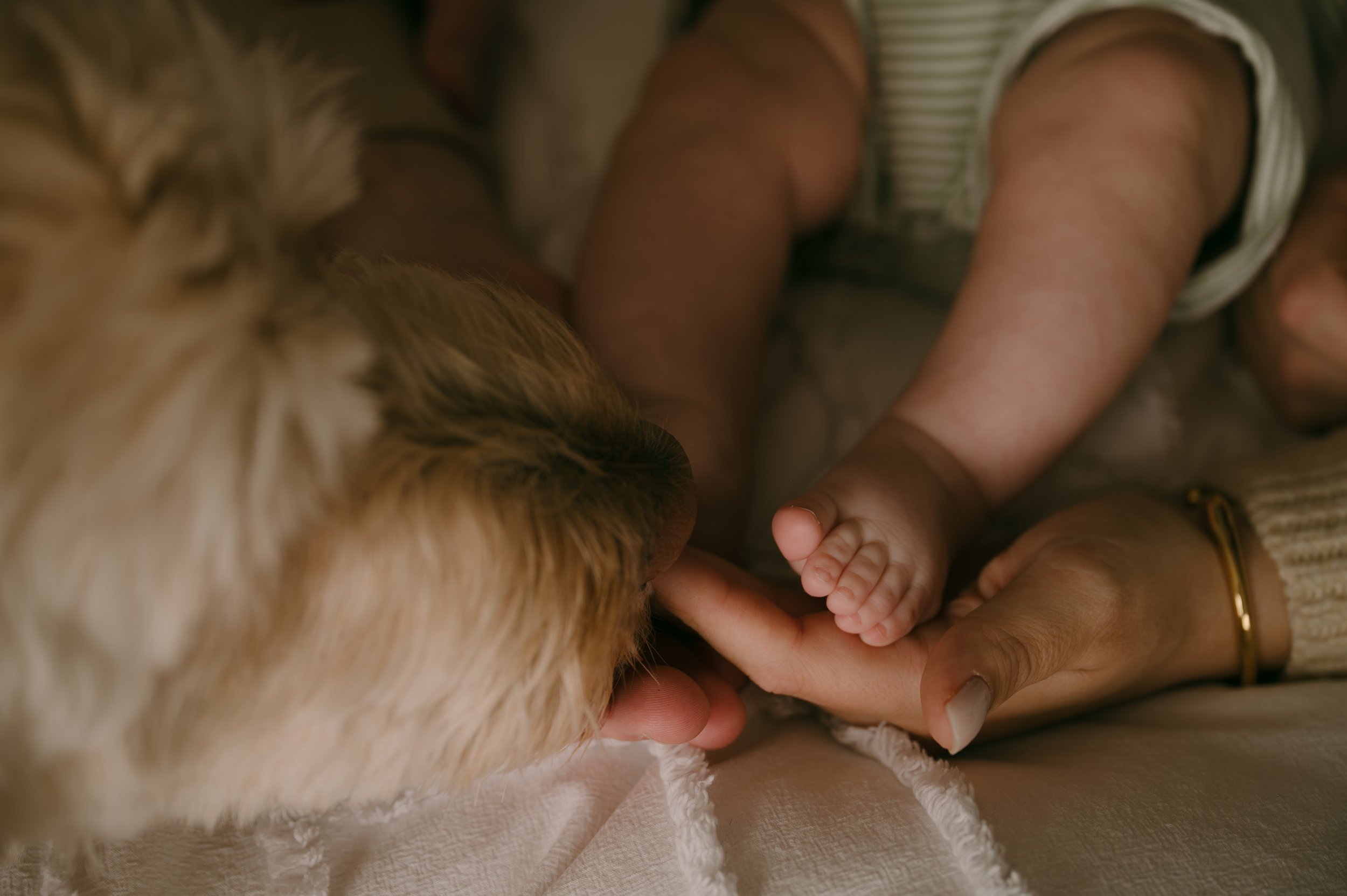 Baby Luke - ALP-155.jpg