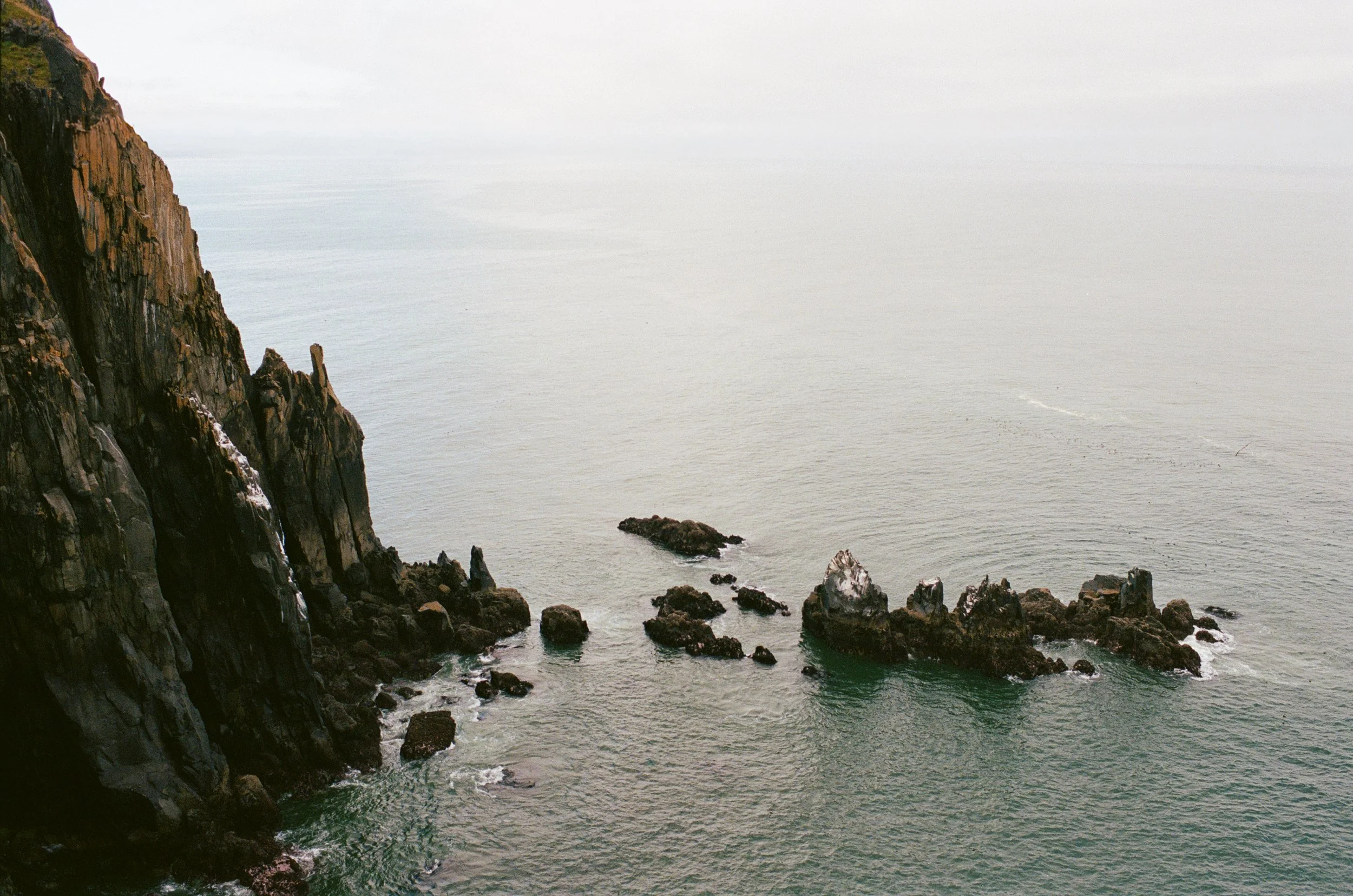 OREGON FILM-3.jpg
